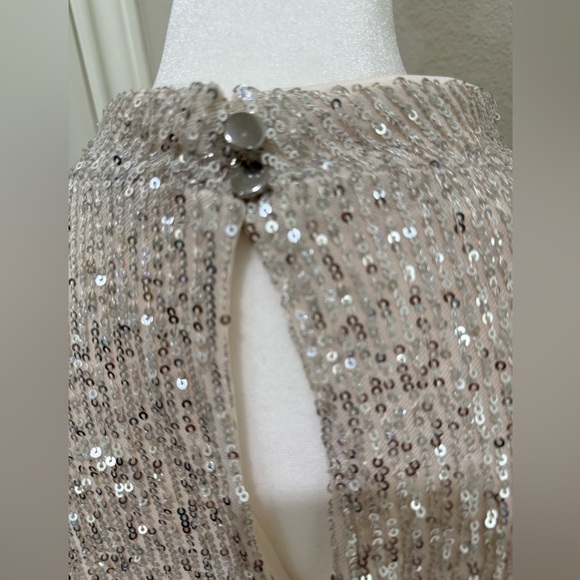 Halogen Sequins Silver Dress with Cream Lining, XL - Picture 3 of 11